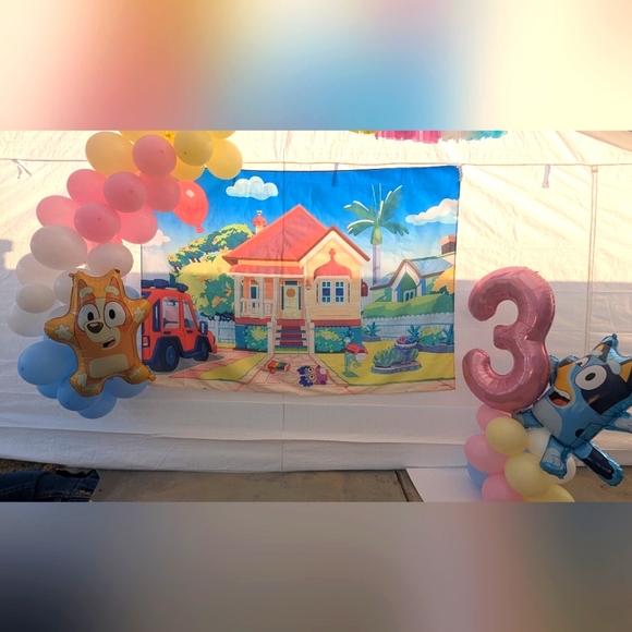 Bluey Backdrop with Balloons